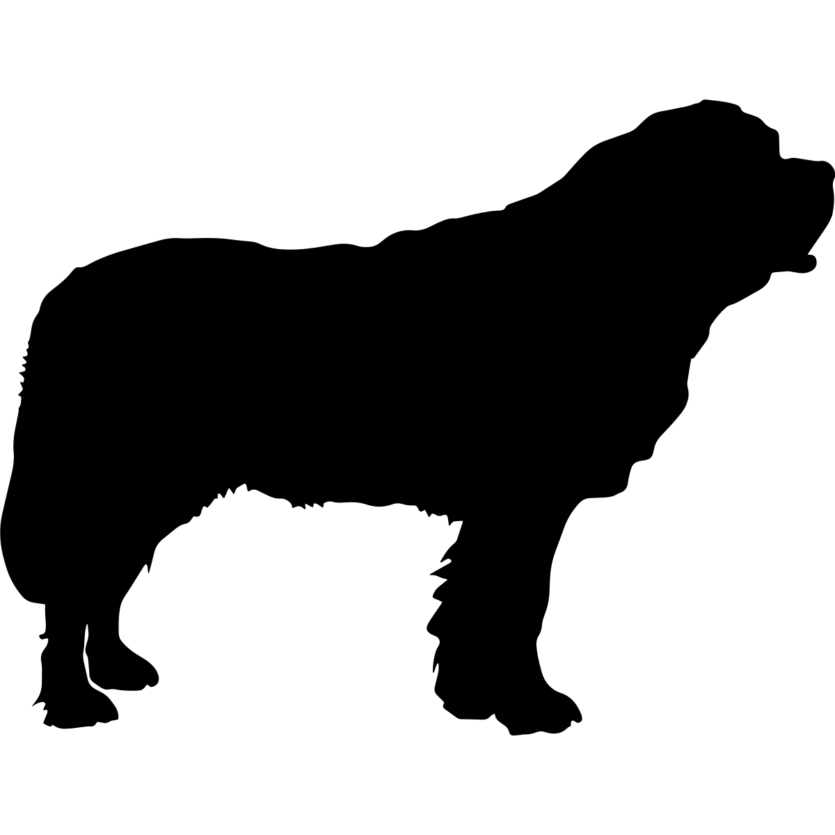 Bernhardiner Silhouette Hundeaufkleber thumbnail 6